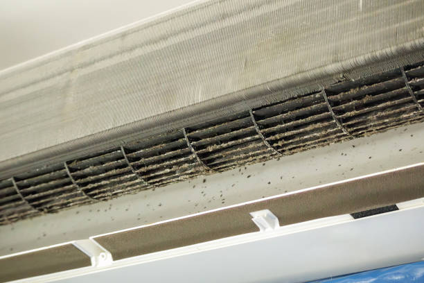 Best Commercial HVAC Duct Cleaning  in Pine Castle, FL